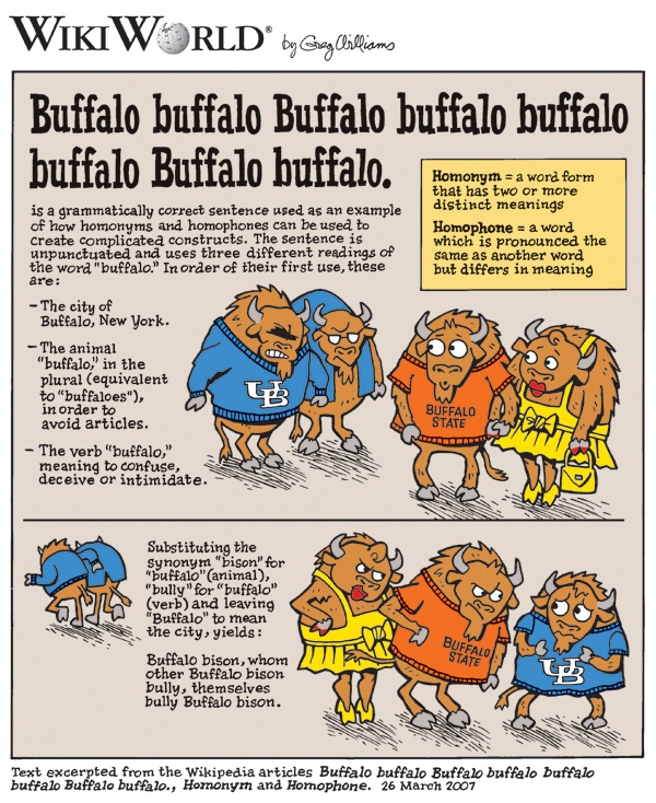 Buffalo buffalo Buffalo buffalo buffalo buffalo Buffalo buffalo - The meaning