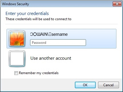 Windows security prompt with bug